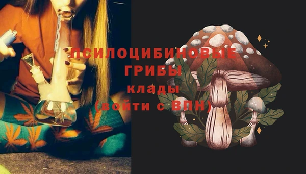 марки lsd Алексеевка