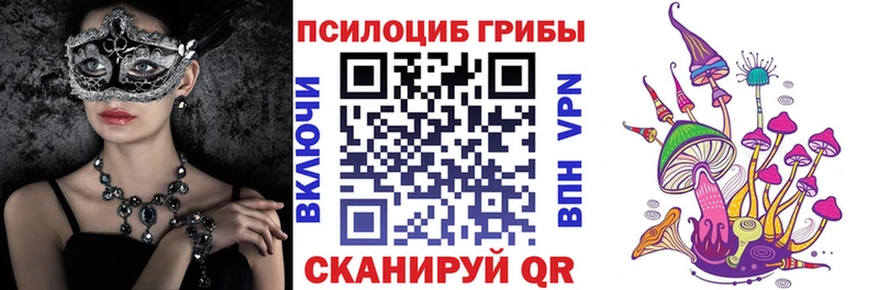 сколько стоит  Нижний Новгород  Галлюциногенные грибы прущие грибы 